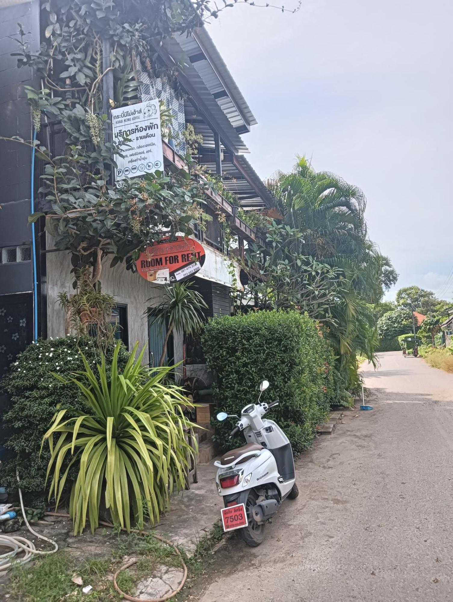 Krabi Nemo House Vandrehjem Ao Nang Eksteriør billede